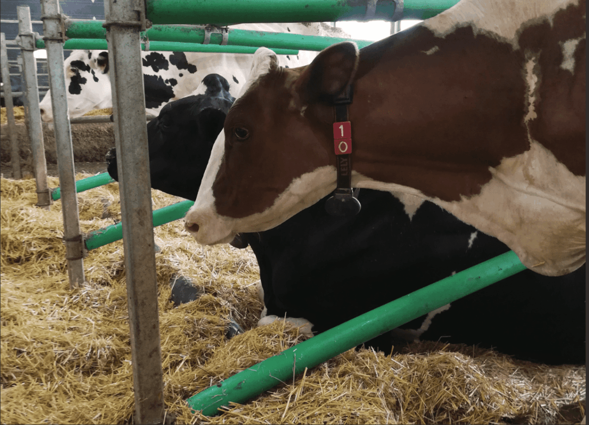 La nouvelle réalité des fermes 4.0 au Québec