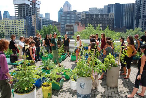 11ème édition de l&rsquo;Ecole d&rsquo;été sur l&rsquo;agriculture urbaine de Montréal