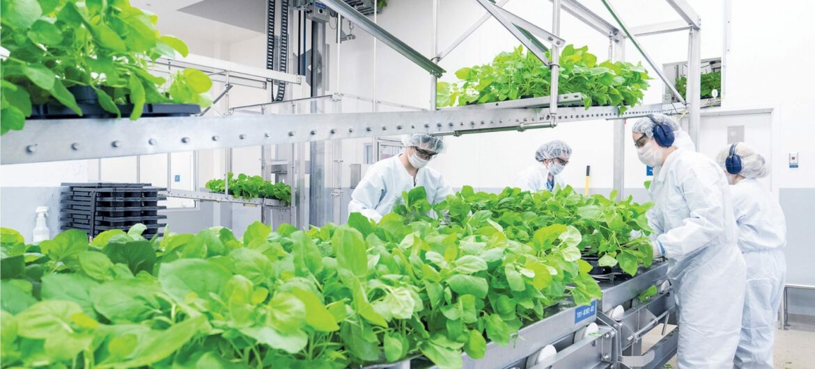 VACCIN: RÉSULTATS ENCOURAGEANTS POUR MEDICAGO