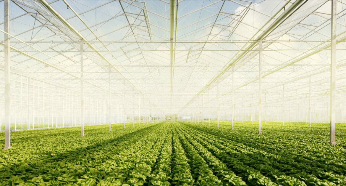 AGRICULTURE : QUÉBEC INVESTIT 6M$ POUR DÉVELOPPER DES TECHNOLOGIES INNOVANTES