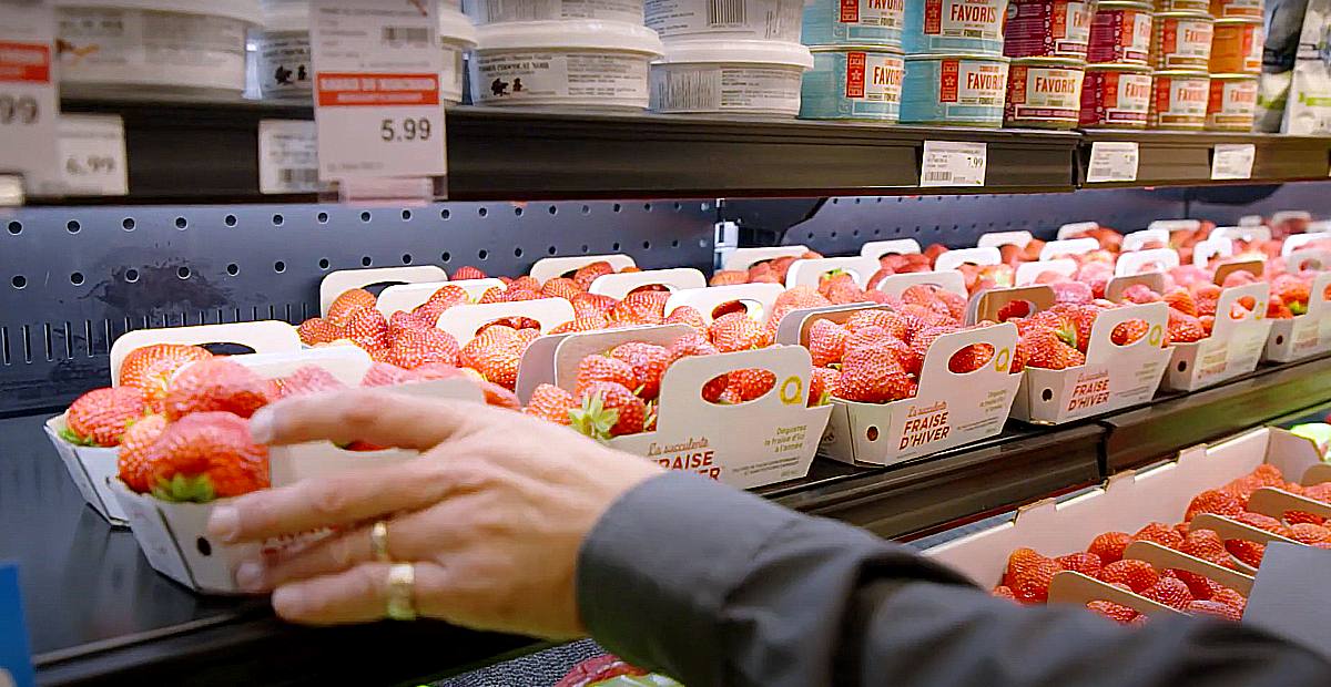 [Agtech] L&rsquo;entreprise Ferme d&rsquo;hiver reçoit 46 M$ pour quadrupler sa production