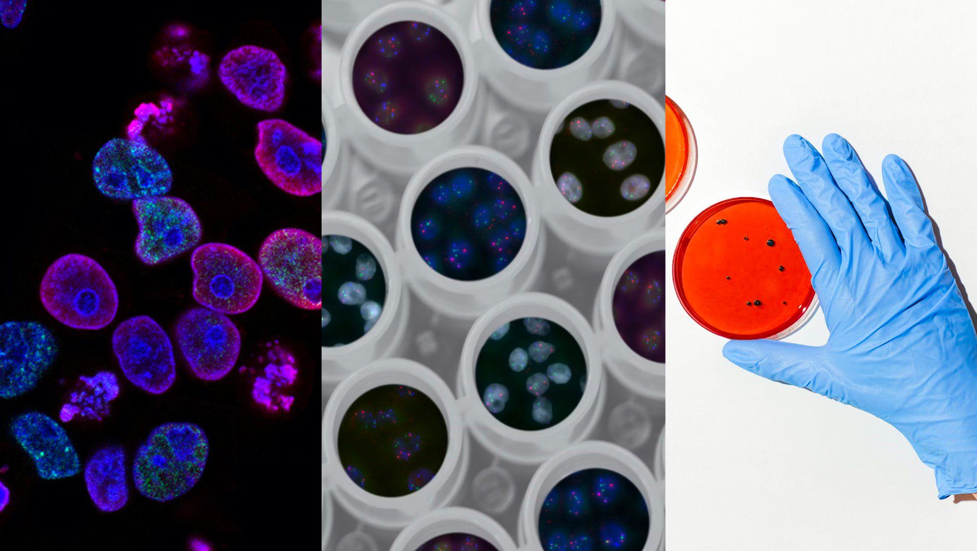 [ÉVÉNEMENT] EFFERVESCENCE : « Le futur des sciences de la vie »