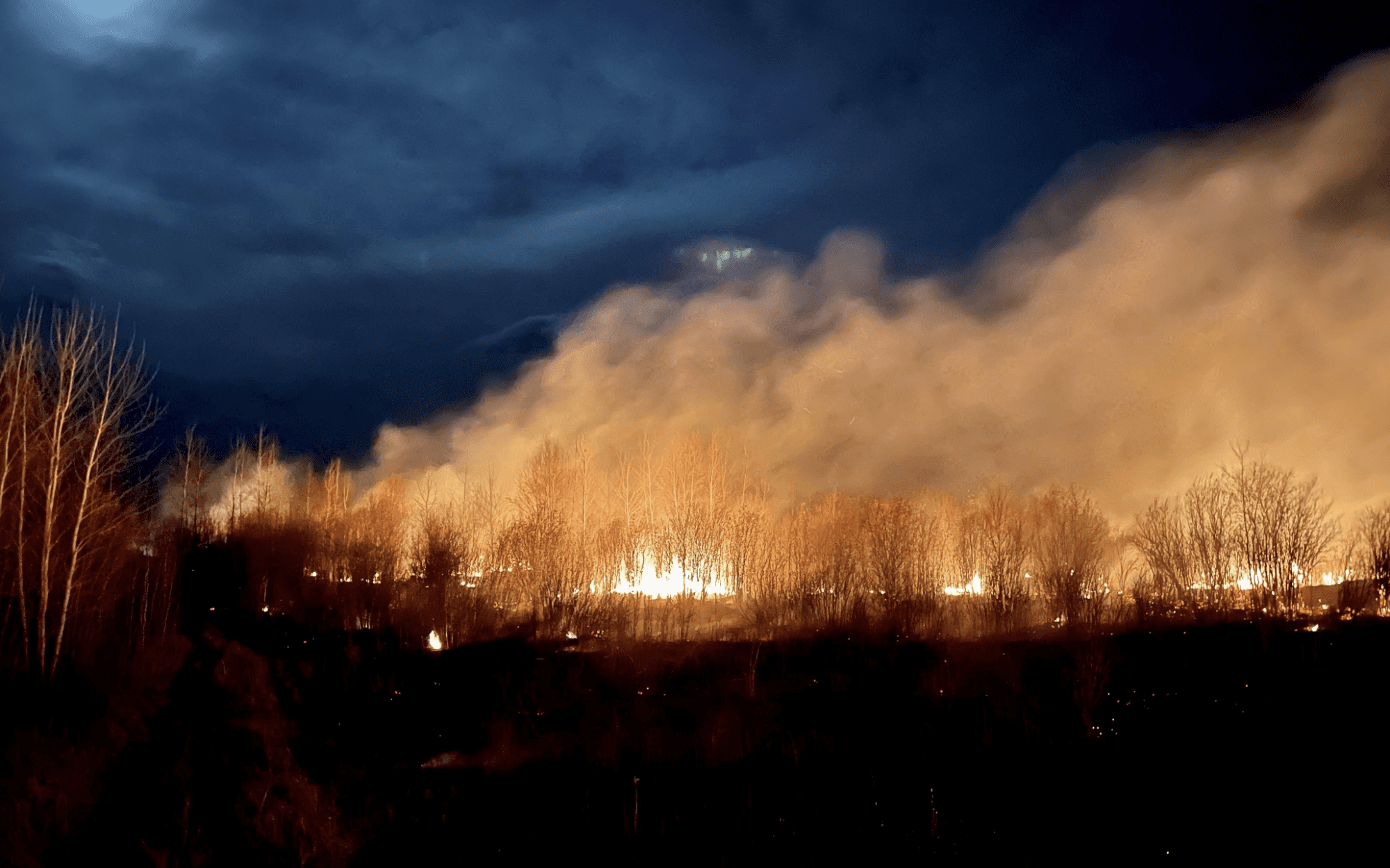 L&rsquo;IA pour lutter contre les feux de forêt : une solution encore sous-exploitée